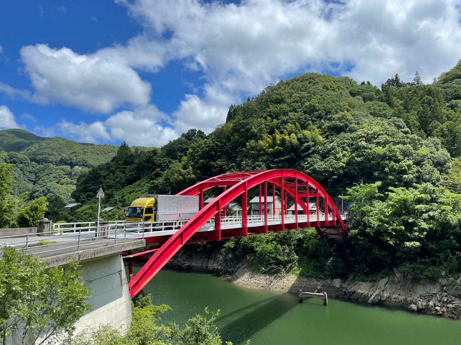 新鮮きゅうり